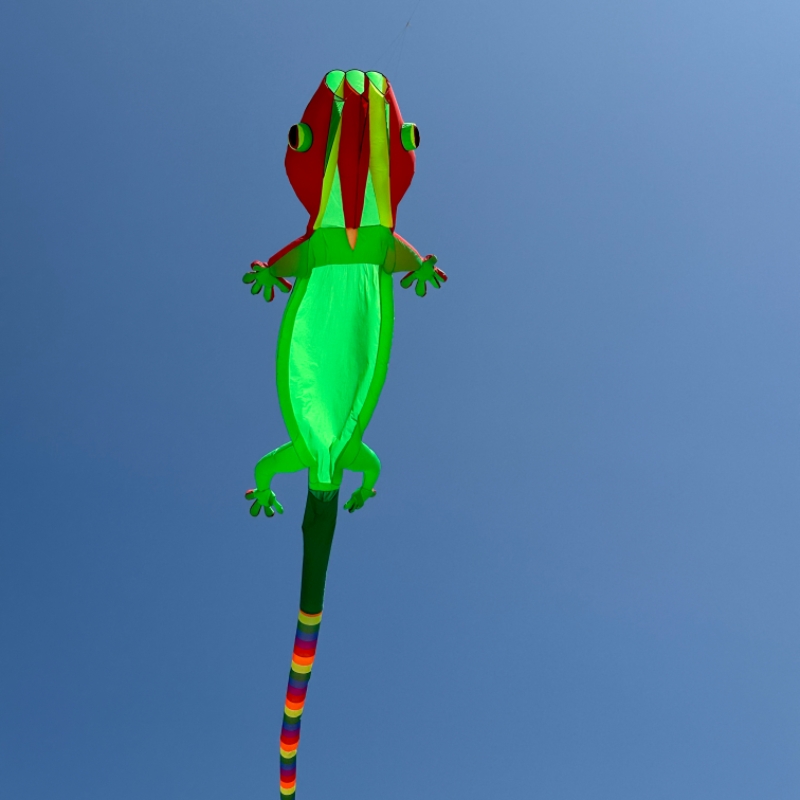 Outdoor Sport 14m Giant Gecko  - đánh giá và giá Outdoor Sport An