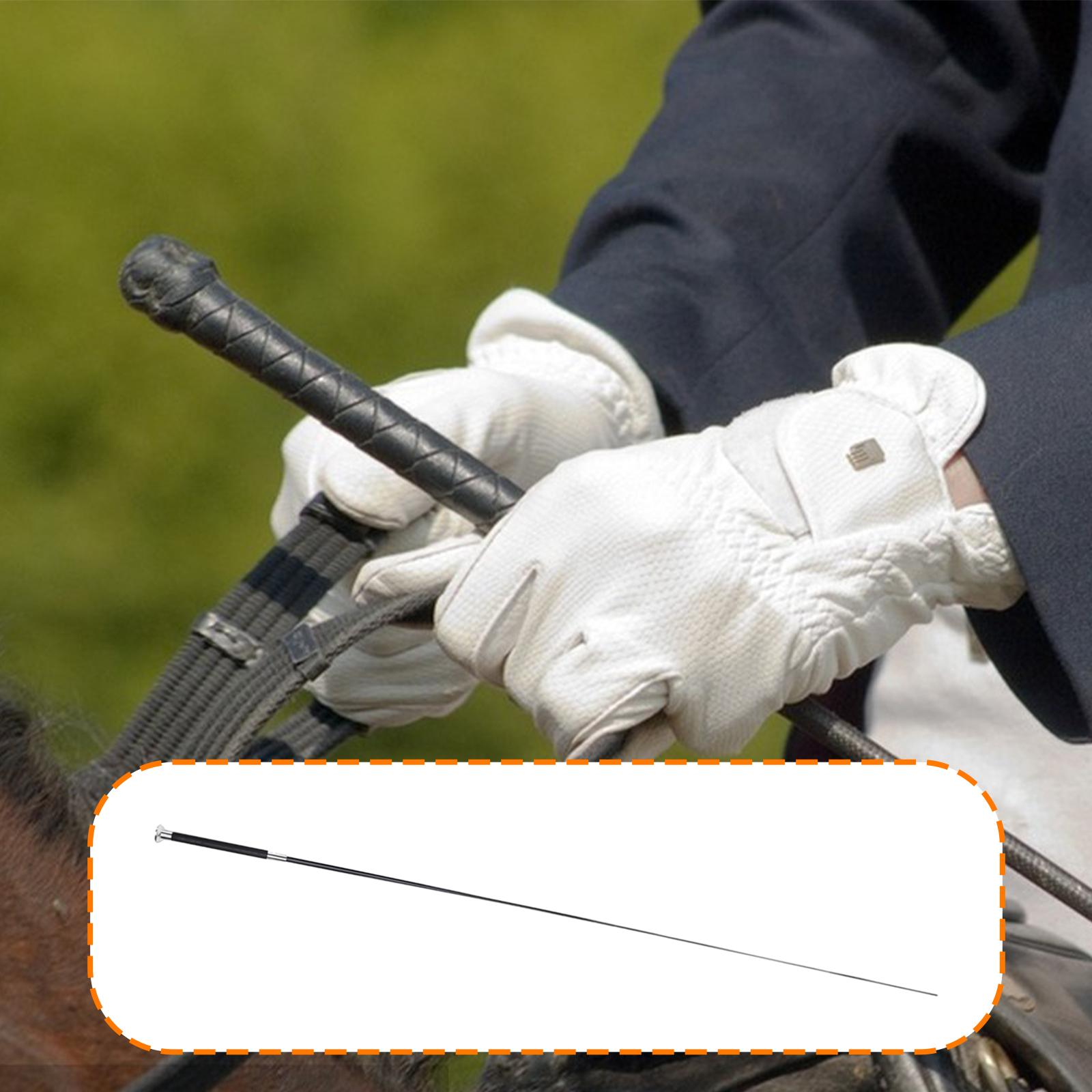 Versatile Riding Crop Metal Ny - đánh giá và giá Riding Crop Dressage