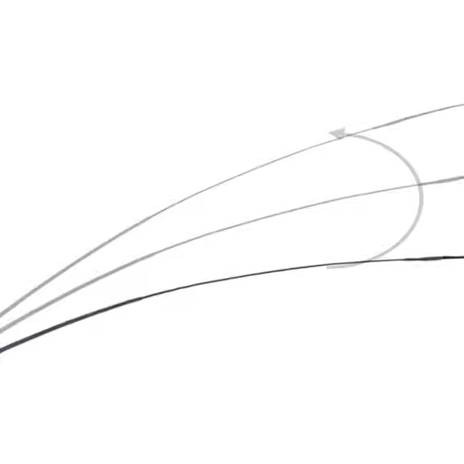 Horse Riding Crop Equestrian R - đánh giá và giá Riding Crop Dressage